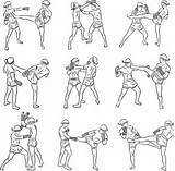 Images of Muay Thai Techniques