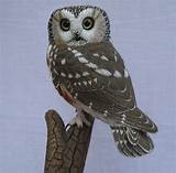 Photos of Owl Wood Carvings For Sale