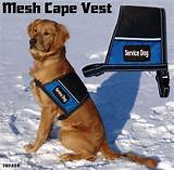 Service Dog Vests And Harnesses Pictures