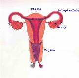 Trapped Gas In Uterus Images