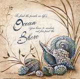 Pictures of Seashell Quotes