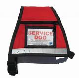 Photos of Service Dog Products
