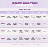 Exercise Program To Lose Weight At Home