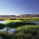 Pictures of Arizona Stay And Play Golf Packages