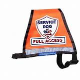 Service Dog Products Pictures