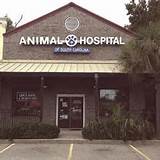 Animal Hospital Charleston Sc