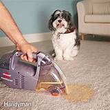 Carpet Cleaners For Pets Images