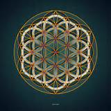 Flower Of Life Pictures