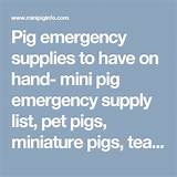 Mini Pig Care Supplies