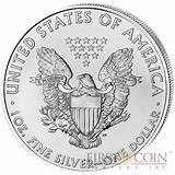 Silver Eagle Coin Size Pictures