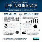 Difference Between Term And Whole Life Insurance Policies Images