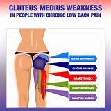 Gluteal Muscle Strengthening Images
