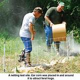 Photos of Electric Fence For Feral Hogs