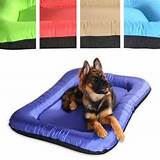 Square Dog Bed Covers Photos