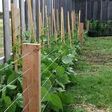 Pictures of Diy Flower Bed Fence