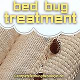 Best Bed Bug Treatment Company Photos