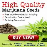 Where Can I Buy Marijuana In Massachusetts