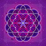 Flower Of Life Photos