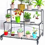 Images of Corner Plant Shelves