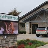 Images of Animal Hospital Arlington Tx