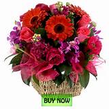 Pictures of Flowers Order Online Delivery