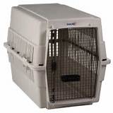 Pet Carrier Travel Pictures