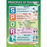 Sports Training Principles Pictures