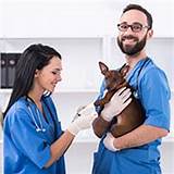 Pictures of Online Colleges For Vet Assistant