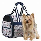 Brand Name Dog Carrier