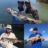 Photos of Tampa Bay Tarpon Fishing