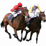 Horse Racing Betting Games Free Images