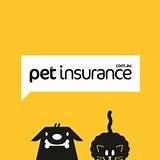 Apply For Pet Insurance Images