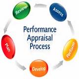 Performance Review Opportunities
