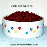 Pictures of What Is The Best Quality Dog Food On The Market