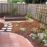 Low Maintenance Backyard Landscaping Pictures