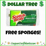 Pictures of Dollar Tree Sponges