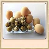 Pictures of Do Eggs Cause Bloating And Gas