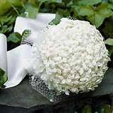 Stephanotis Flower Bouquet Pictures