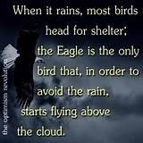 Eagle Quotes Images Photos
