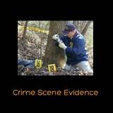 Associates Degree In Forensic Science Online Photos