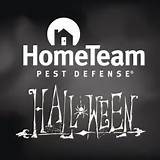 Images of Home Team Pest Defense