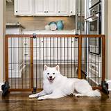 Petco Indoor Dog Fence Photos