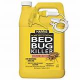 Photos of Strongest Bed Bug Spray