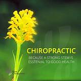 Images of Great Chiropractic Quotes