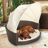 Outdoor Beds For Dogs Images