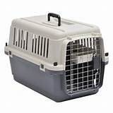 Dog Travel Carrier Airline Approved Images