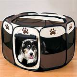 Photos of Dog Carrier Bed