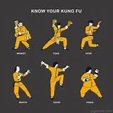Chinese Martial Arts Kung Fu Styles Photos