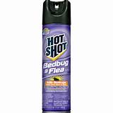 Bed Bug Spray Hot Shot Review Images