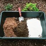 Pictures of Cheap Soil For Weed